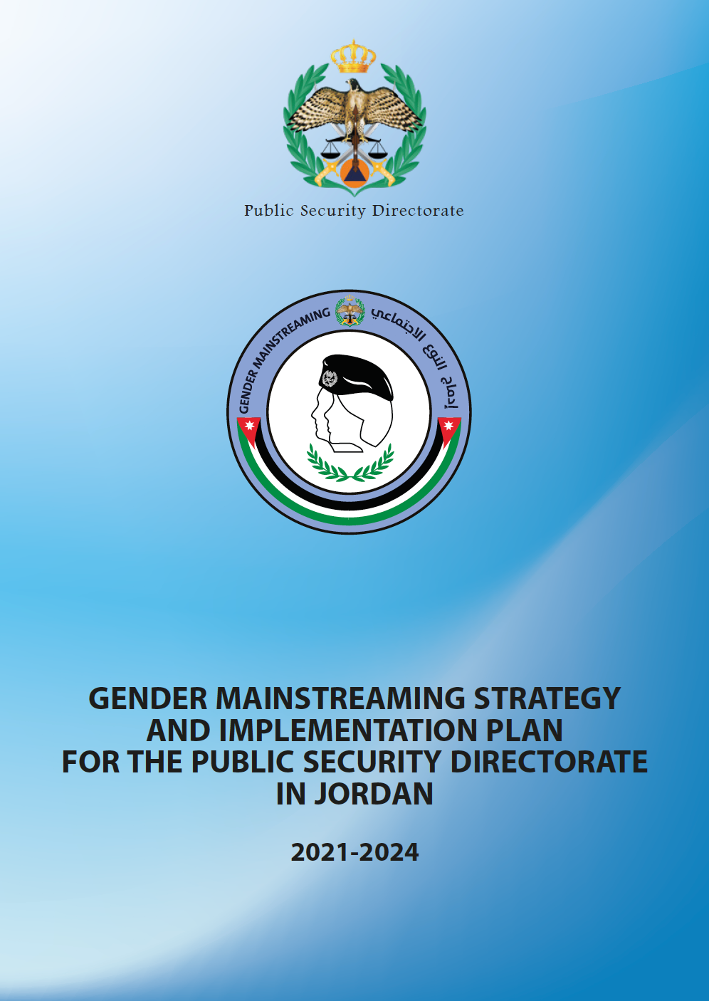 Gender Mainstreaming Strategy And Implementation Plan For The Public